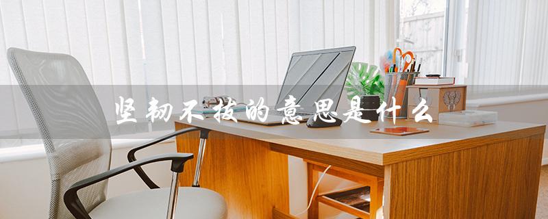 坚韧不拔的意思是什么（坚韧与坚忍的区别）