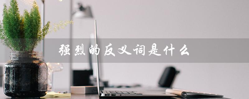 强烈的反义词是什么(强烈反义词是什么)