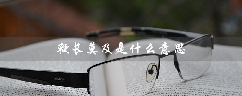 鞭长莫及是什么意思（什么是鞭长莫及）
