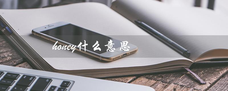 honey什么意思(honey的英文是什么)