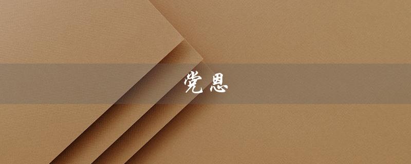 党恩（党恩浩荡是什么）