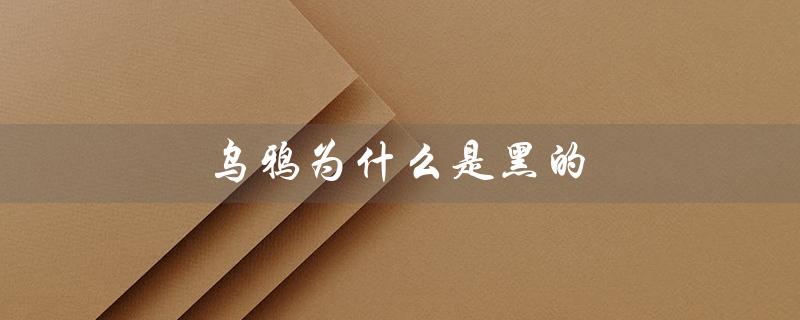 乌鸦为什么是黑的(乌鸦为何黑)