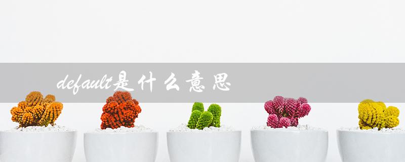 default的含义和用法