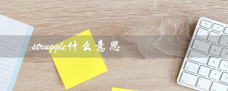 struggle什么意思（英文释义）