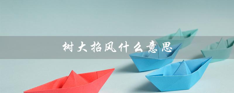 树大招风什么意思（女人树大招风是什么意思）