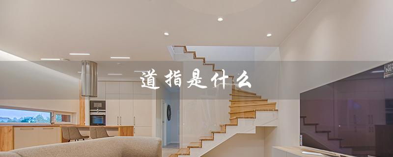 道指是什么(道指手势是什么)