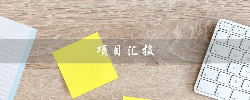 项目汇报（项目汇报材料范文是什么）