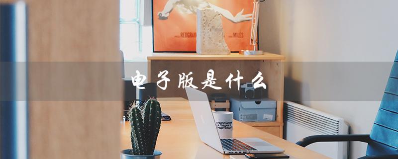 电子版是什么(电子版长什么样)