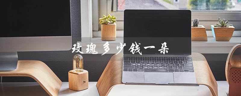 玫瑰多少钱一朵(朱丽叶玫瑰单价)