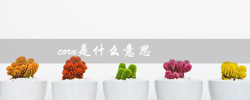 corn是什么意思（corner的含义是什么）