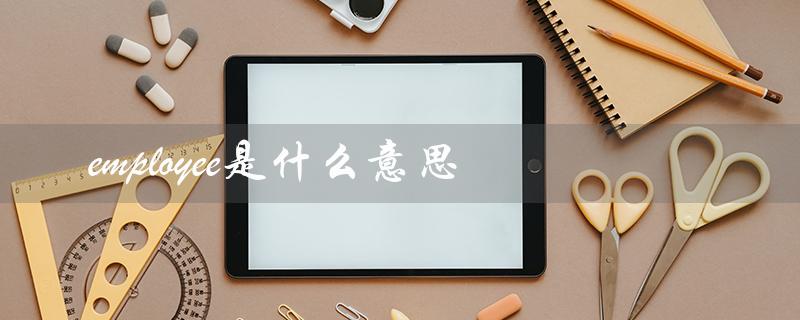 employee是什么意思(employees是什么)