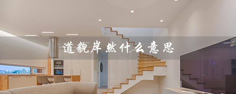 道貌岸然什么意思（道貌岸然是什么意思）