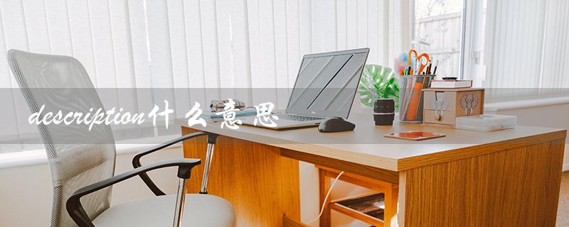 description什么意思（解释与例句）