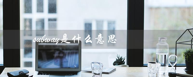 subway是什么意思（subways是什么）