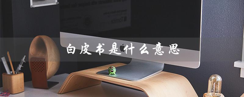 白皮书是什么意思（蓝白皮书含义）