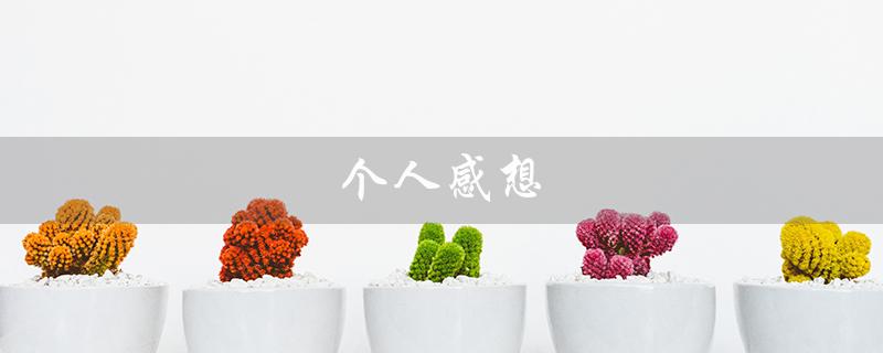 个人感想（个人感想怎么写）