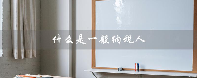 什么是一般纳税人(一般纳税人和小规模纳税人是什么)