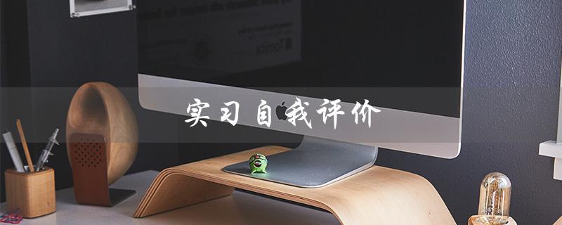 实习自我评价（自我评价如何简短）