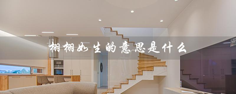 栩栩如生的意思是什么（栩栩如生的含义是什么）