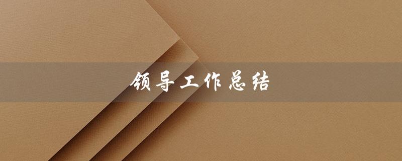 领导工作总结（领导工作总结个人范文）