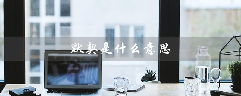 默契是什么意思(默契的意思是什么)