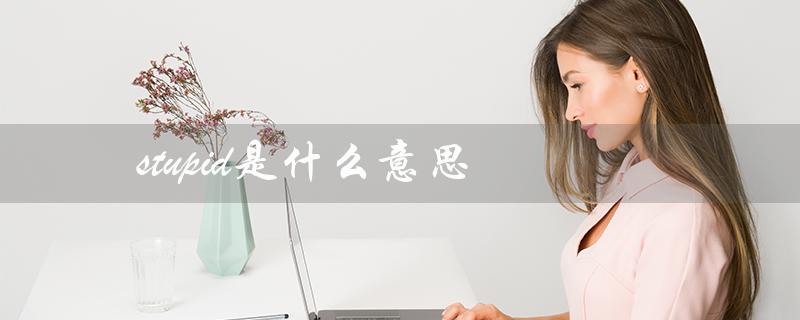 stupid是什么意思（英语中常见的贬义形容词）
