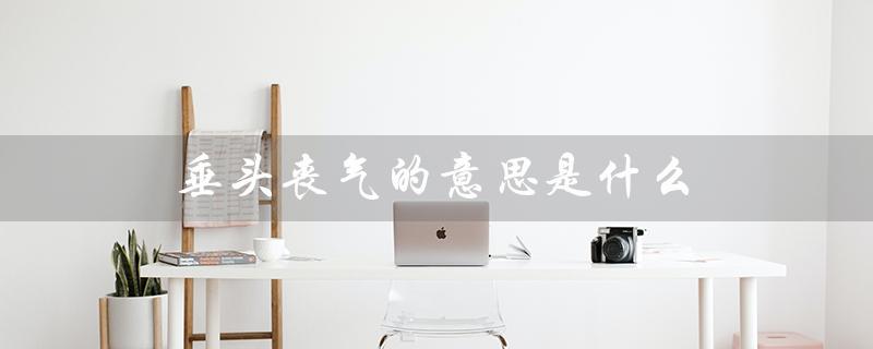 垂头丧气的意思是什么（垂头丧气的含义）