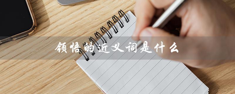 领悟的近义词是什么（领悟的近义词是什么）