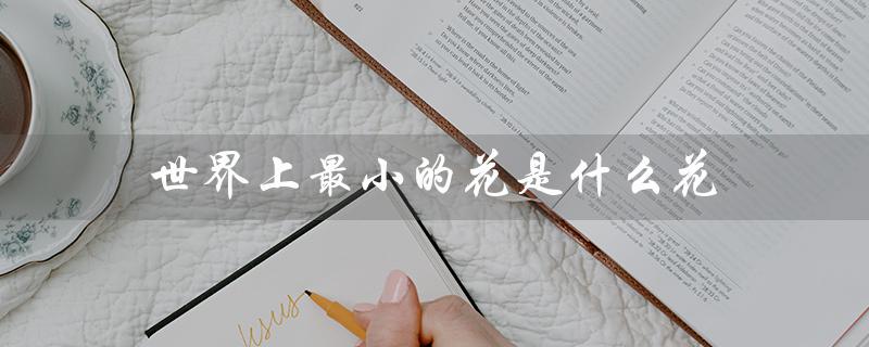 世界上最小的花是什么花（最小的花是什么）