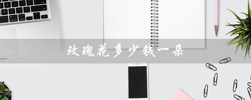 玫瑰花多少钱一朵（实体店玫瑰花价格）