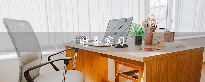 财务实习（探索财务职场的机会）