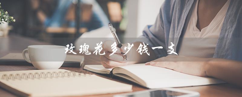 玫瑰花多少钱一支(玫瑰花批发价)
