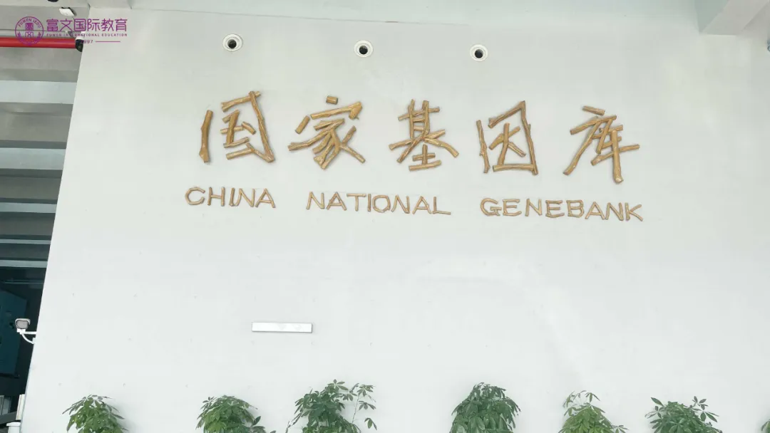 走进名企之华大基因 解读生命起源,探索基因与健康的奥秘
